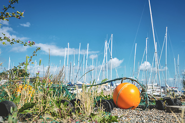 Image showing Orange buoye on land