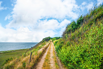 Image showing Nature trail on a cliff by the blue sea