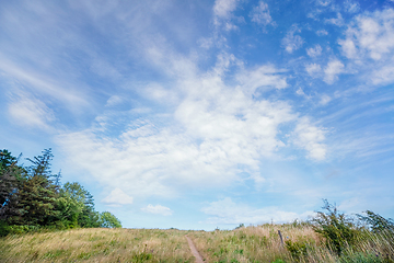 Image showing Grass landscape with a small trail