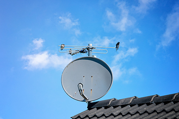 Image showing Birds on a satellite dish on a rooftop