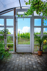 Image showing Wooden door to a vindeyard landscape