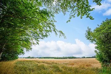 Image showing Rural landscape with fresh straw fields