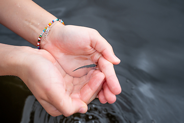 Image showing Catching a small fish by hand in a dark river