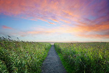 Image showing Trail to the beach in a colourful sunset