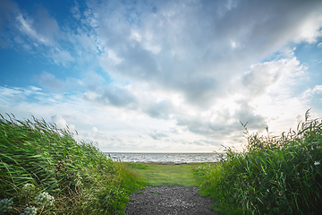 Image showing Trail to the sea with green rushes