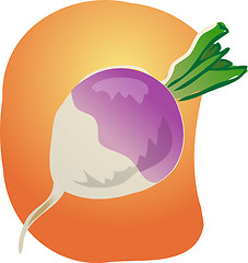 Image showing Turnip illustration