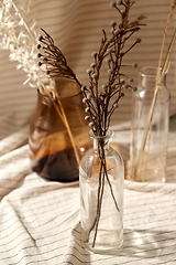 Image showing decorative dried flowers in vases and bottles