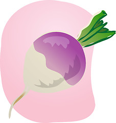 Image showing Turnip illustration