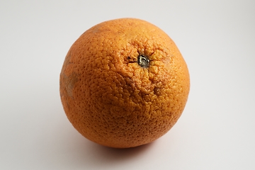Image showing an orange with a pronounced peel texture on a white background