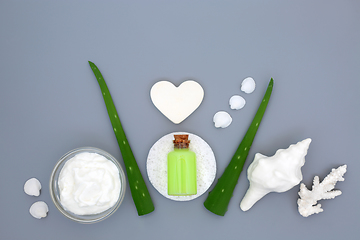 Image showing Aloe Vera Herbal Plant Medicine Beauty Treatment 