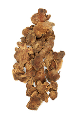 Image showing Atractylodes Root Chinese Herb