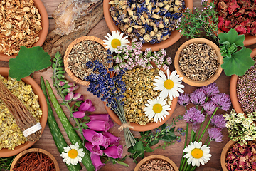 Image showing Natural Herbs for Herbal Plant Medicine