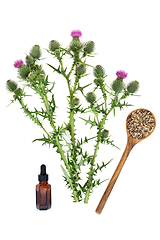 Image showing Milkthistle Herb for Liver Disorders