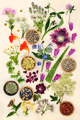 Image showing Natural Healing Herbs for Alternative Medicine