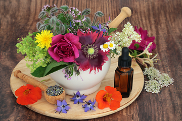 Image showing Healing Herbs and Flowers for Herbal Plant Based Medicine