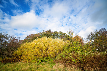 Image showing Colorful nature scene in a wilderness setting