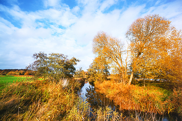 Image showing Small creek in a rural autumn landscape