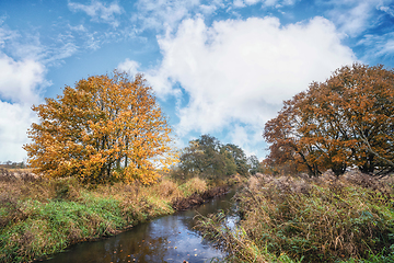 Image showing Autumn colors by a small river in the fall