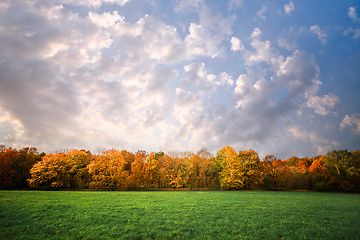 Image showing Trees in a row in autumn colors