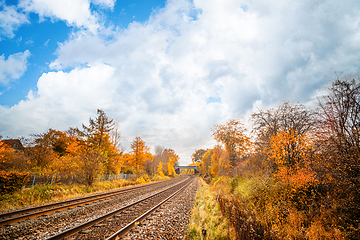 Image showing Railroad tracks going through a colorful autumn scenery