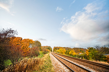 Image showing Railraod tracks in the fall on a bright day