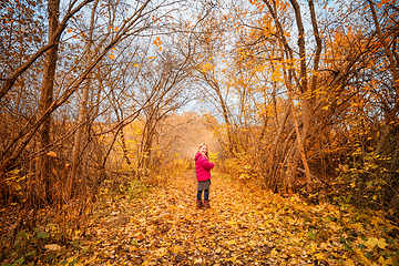 Image showing Happy girl in a colorful yellow forest
