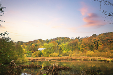 Image showing Idyllic lake in a forest with a small cabin