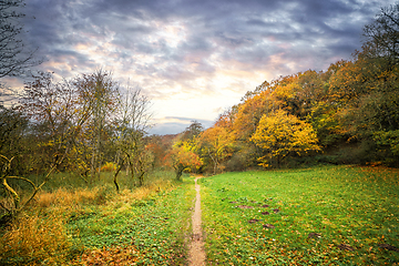 Image showing Autumn landscape with a nature trail