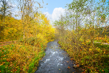 Image showing Autumn scenery with a river stream