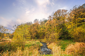 Image showing Colorful nature in the fall with a small creek