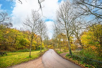 Image showing Road going through a park in the fall