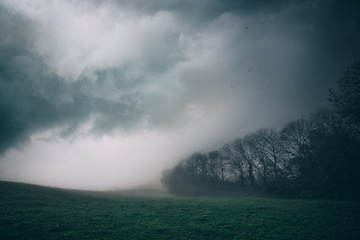 Image showing Misty scenery with fog over a green field