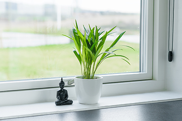 Image showing Green plant with a Buddha figure