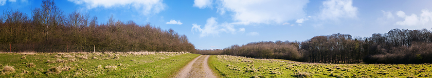 Image showing Countryside road on a green field in the early spring