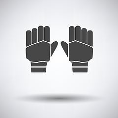 Image showing Pair of cricket gloves icon