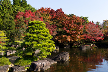 Image showing Traditional Kokoen Garden with maple tree