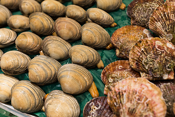 Image showing Fresh Clam and Scallop sell in fish market