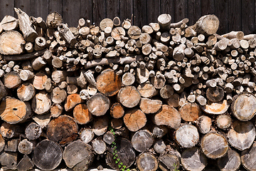 Image showing Stacked wood pine timber