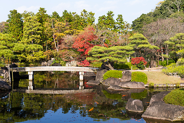 Image showing Japanese garden in autumn