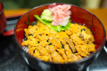 Image showing Sea Urchin on rice