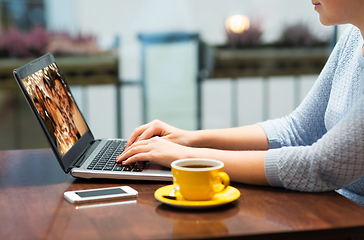 Image showing close up of woman having video call on laptop