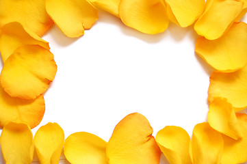 Image showing Blank white gift card on a bed of yellow rose petals 