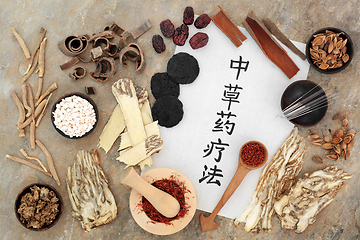 Image showing Traditional Chinese Herbal Therapy