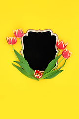 Image showing Spring Tulip Minimal Background Border Composition