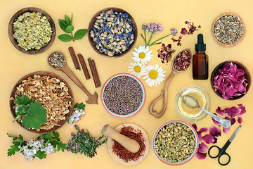 Image showing Natural Herbs and Flowers for Preparation of Herbal Plant Medici