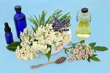 Image showing Natural Herbal Plant Medicine used as a Tranquilizer