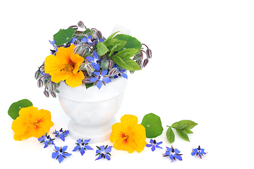 Image showing Nasturtium and Borage Herbal Plant Remedy for Colds and Flu