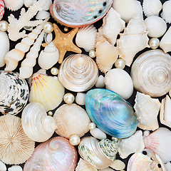 Image showing Natural Sea Shell and Pearl Background Collection