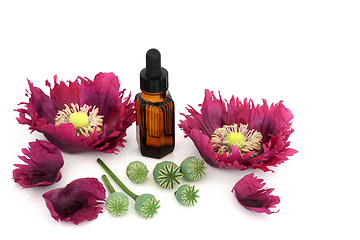 Image showing Alternative Medicine with Poppy Seeds & Flowers