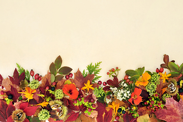 Image showing Leaves and Flowers of Autumn and Thanksgiving Background Border